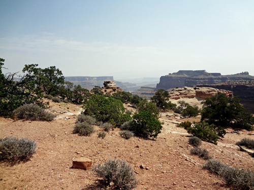 view from The Neck Overlook at Canyonlands National Park